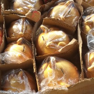 Heo thiên thần, heo cánh tiên