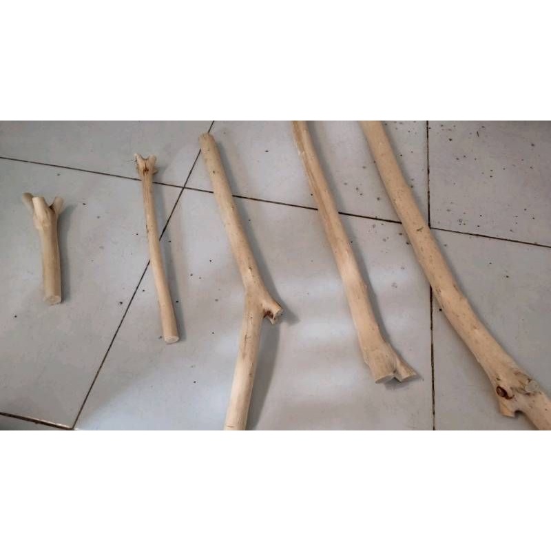 Cành gỗ tự nhiên, cây khô làm mái che, trang trí decor dài 1-2m   FLORA DECOR store