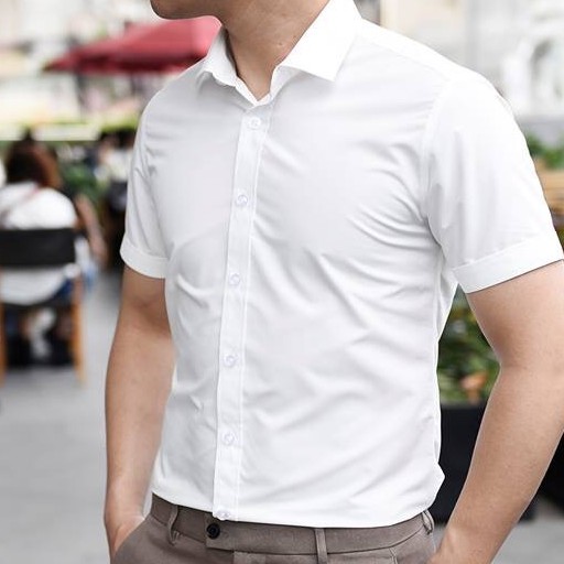 Áo phông đi biển, Cửa hàng trực tuyến | BigBuy360 - bigbuy360.vn