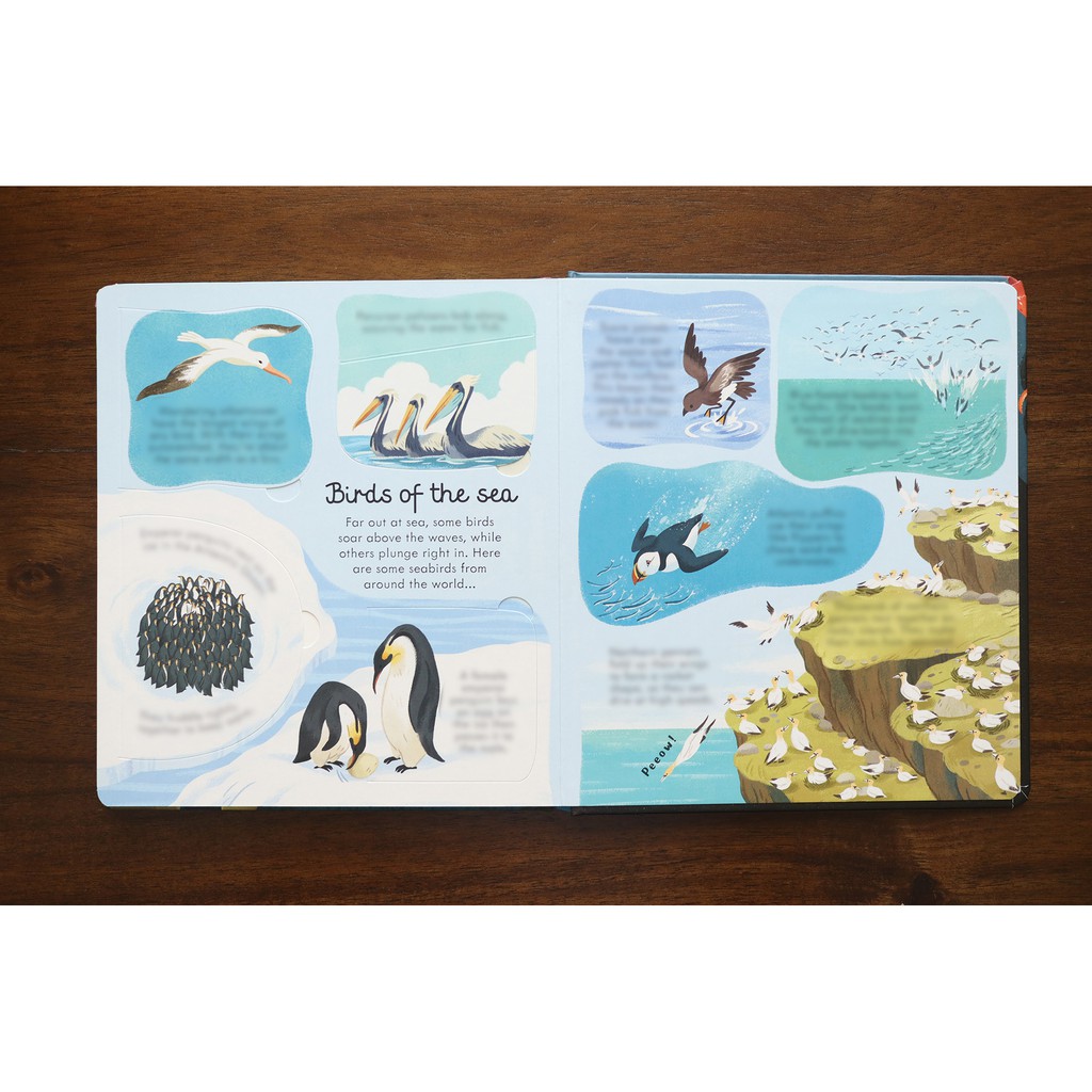 Sách lật mở khám phá Look Inside Seas and Oceans Usborne cho bé tìm hiểu biển và đại dương