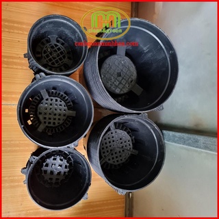 Combo 10 chậu nhựa đen trồng lan phi 12