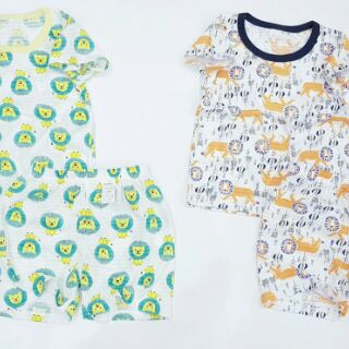 Sỉ bộ cotton giấy xuất Hàn.