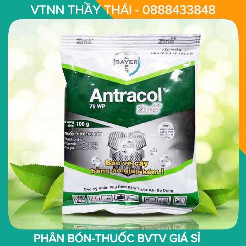 Antracol 70WP, 100g, bột, trừ nấm bệnh hoa hồng, hoa lan, cây cảnh, cây ăn trái, hoa màu, lúa