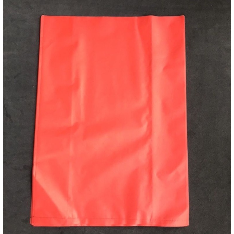 Túi nilon đựng hộp Yến Sào, túi PE gói hàng 35 x 50cm