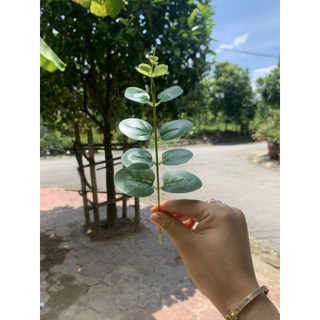 Nhánh lá táo trang trí bó hoa
