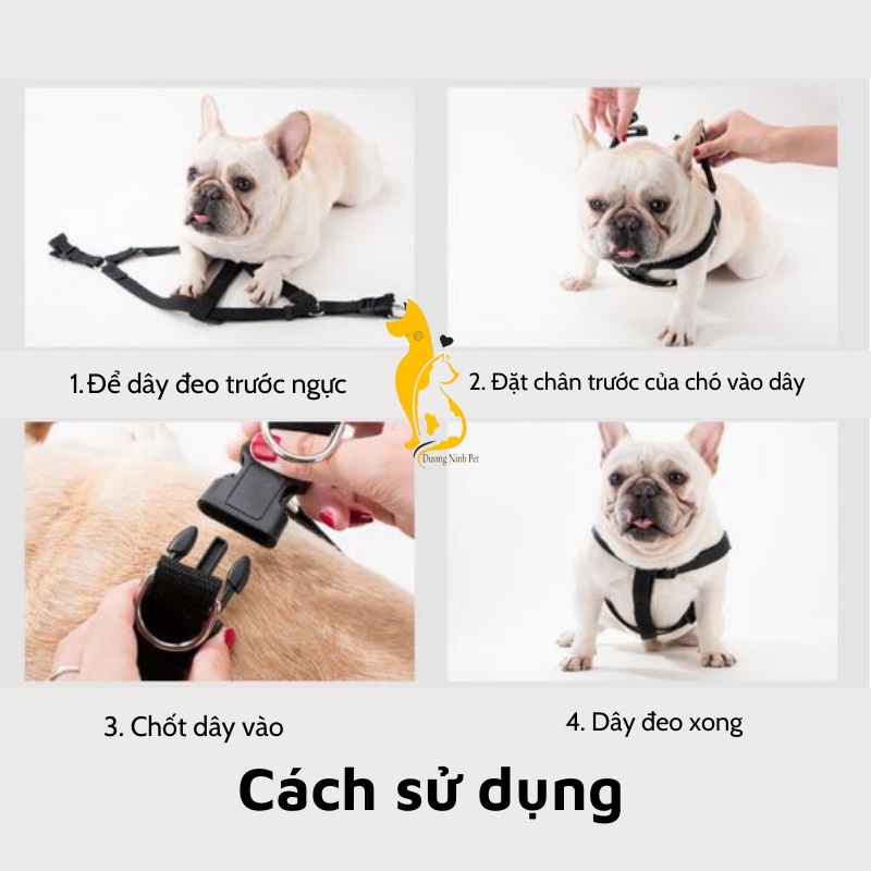 Dây dắt chó mèo Dương Ninh kèm yếm dễ thương nhiều màu DD15