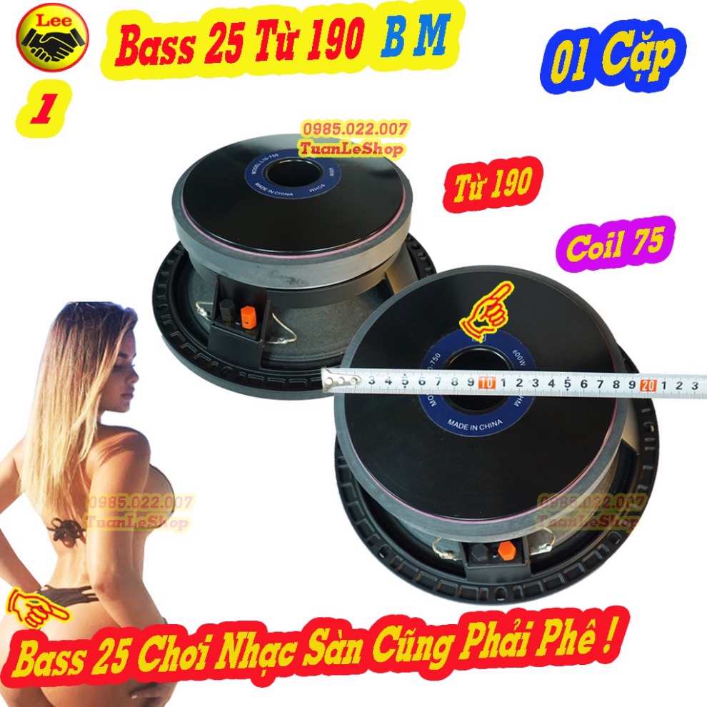 LOA BASS 25 COI 75 TỪ 190, LOA 2 TẤC RƯỠI BM – GÁI 02 CHIẾC