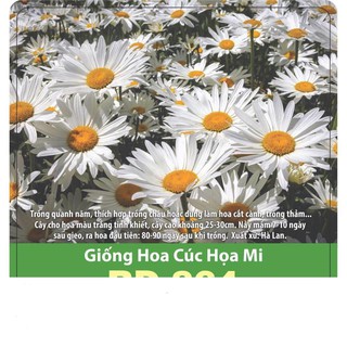 Hạt giống hoa cúc họa mi trắng nhụy vàng