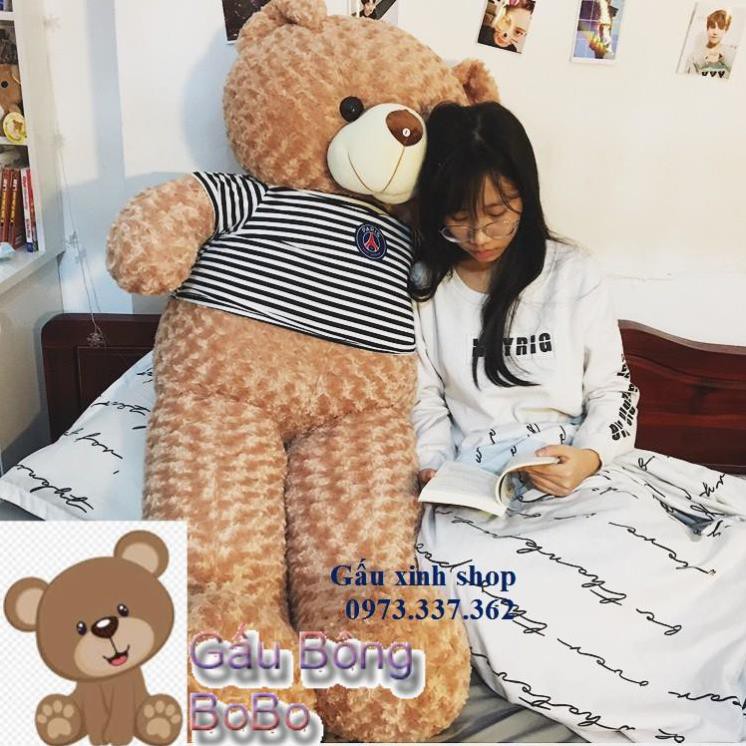 [BOBO] Gấu bông Teddy màu Vani siêu to khổng lồ - KV 1M8 cao 1M6 (Ảnh thật)