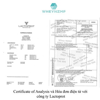 Whey Protein Isolate 90% - Sữa tăng cơ LACTOPROT