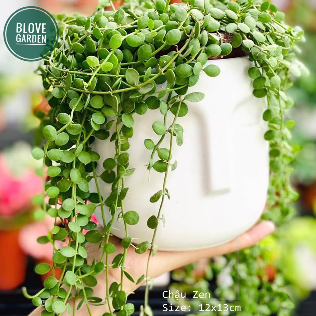 Gốm sứ bát tràng cao cấp,Chậu sứ hình mặt người, decor nội thất văn phòng đẹp, phù hợp trồng cây để bà cây cảnh mini