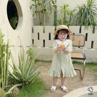 Váy Hàn Quốc hoa nhí V3