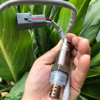 Cảm biến Oxy Mitsubishi Grandis