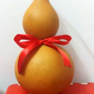 Quả bầu hồ lô cầu con (hàng lựa chọn quả đều đẹp như hình)