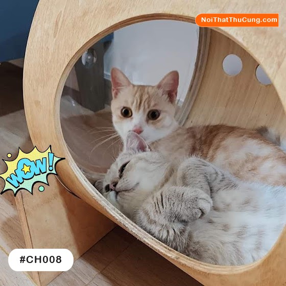 Nhà phi hành gia hai mặt cầu cho mèo PetZou CH008 - Cat Spaceship - Nội Thất Thú Cưng
