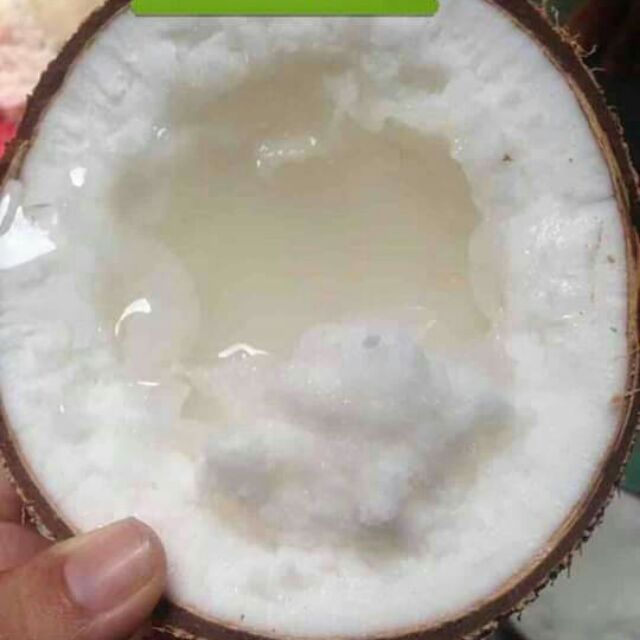 Dừa loại 1 của khách