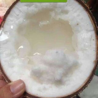 Dừa loại 1 của khách