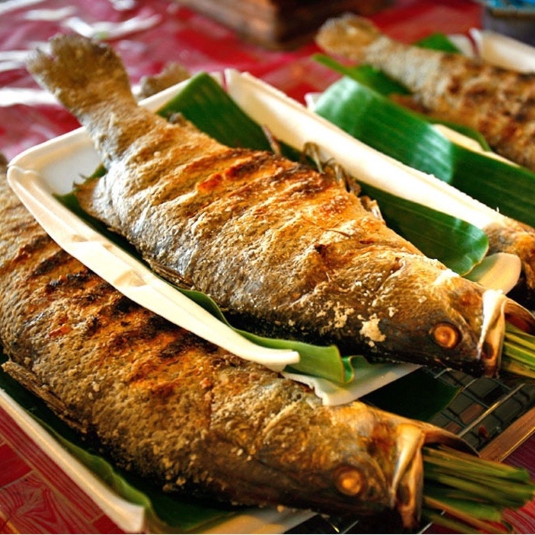 Hạt dổi rừng Tây-Bắc - Hạt dổi nếp rừng thơm ngon chuẩn vị-  Đặc sản gia vị truyền thống