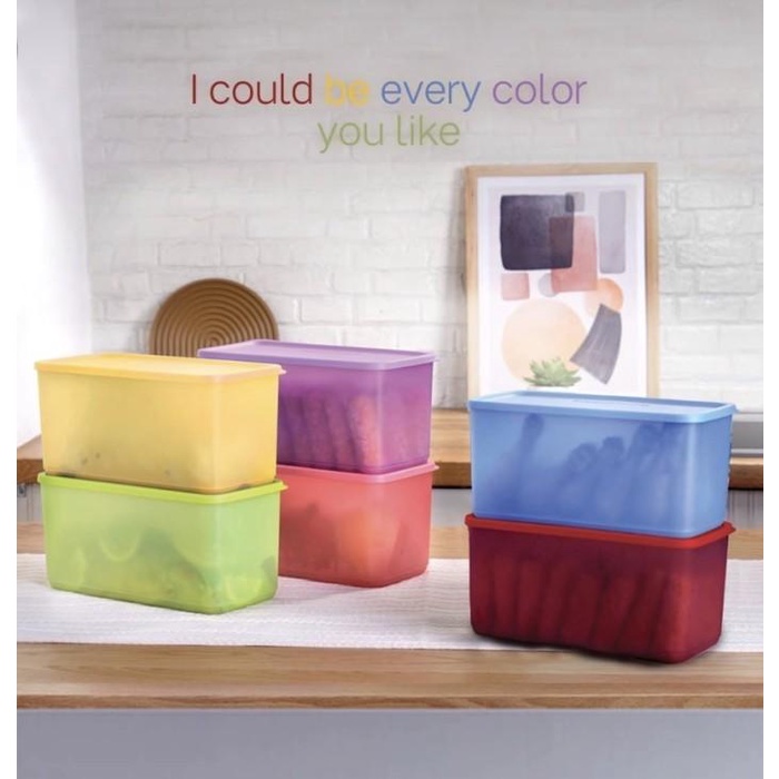 Hộp Đựng Đồ Đa Năng Tupperware Huyền Bí 1 Cái (A09)