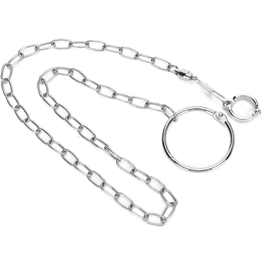 AARON1 Dây Xích Đeo Chân Huấn Luyện Vẹt Bằng Thép Không Gỉ