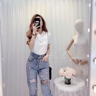 ÁO POLO NỮ VIỀN CỔ