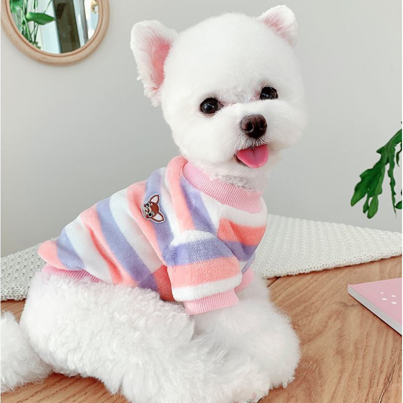 Áo Thu Đông Sọc Phối Màu Cute Dành Cho Chó Cưng