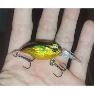 mồi lure chubby câu Lóc, rô, tráp vv...