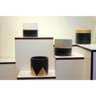 Chậu trụ xi măng tone đồng-đen