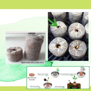 Viên nén xơ dừa dùng ươm hạt - đất nén xơ dừa - đất trồng cây giống