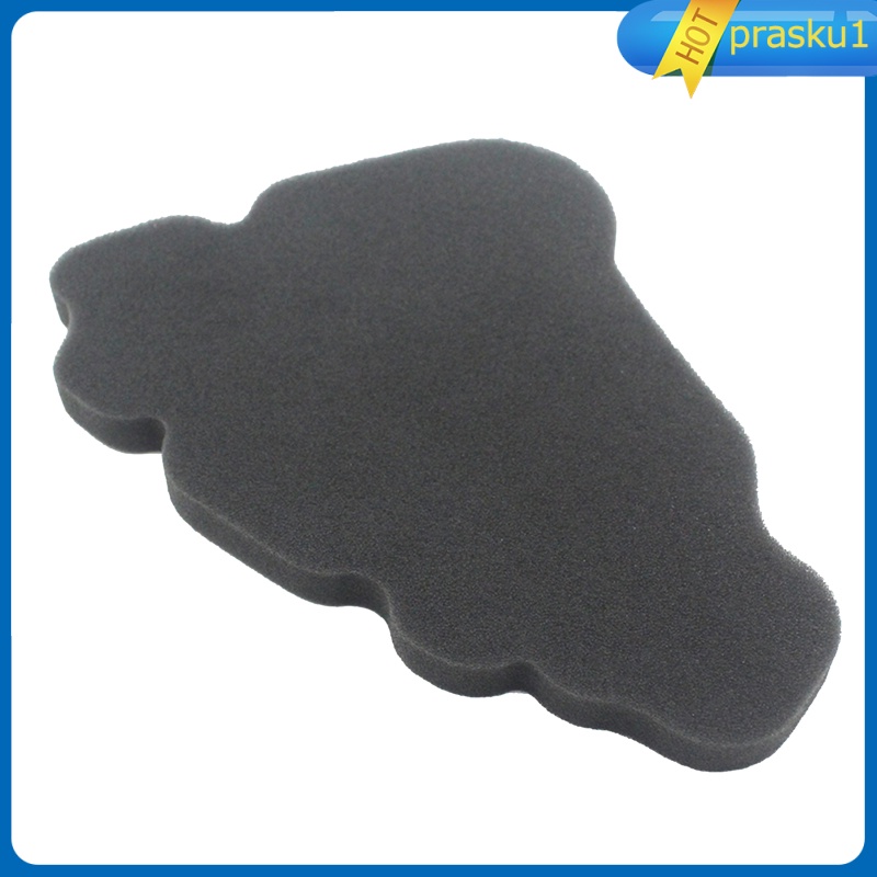 Bộ Lọc Khí Thay Thế Cho Xe Scooter 125 2000-2003 Prasku1 | BigBuy360 - bigbuy360.vn