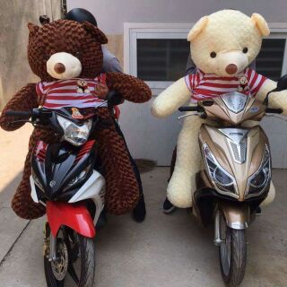 Gấu bông teddy 1m6( khổ vải)