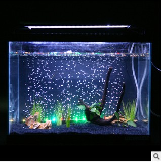 Đèn LED sủi bọt khí cho bể cá 100cm