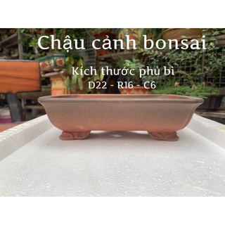 Chậu tử sa- chậu gốm tàu- Chậu trồng cây bonsai - chậu trồng sen đá - chậu cảnh bonsai