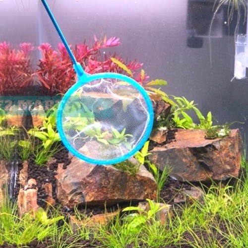 Vợt bắt cá tép loại tròn 3 kích thước-Vợt cá cảnh