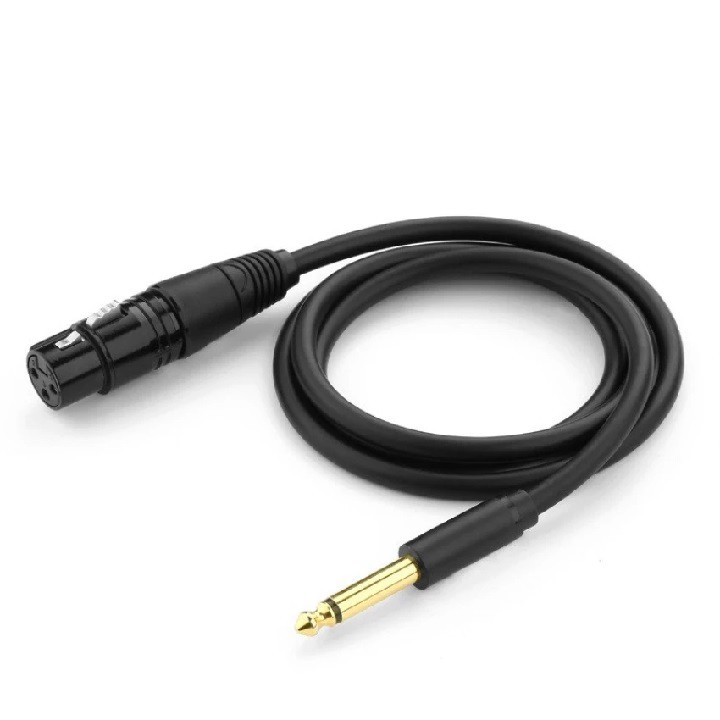 Cáp chuyển đổi từ 6.5mm sang AV Cannon (XLR) âm cho microphone, stereo, mixer, amplifier,dài 8M UGREEN AV131 20722(Đen)