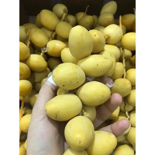 Chà Là tươi Ai Cập, Thái Lan