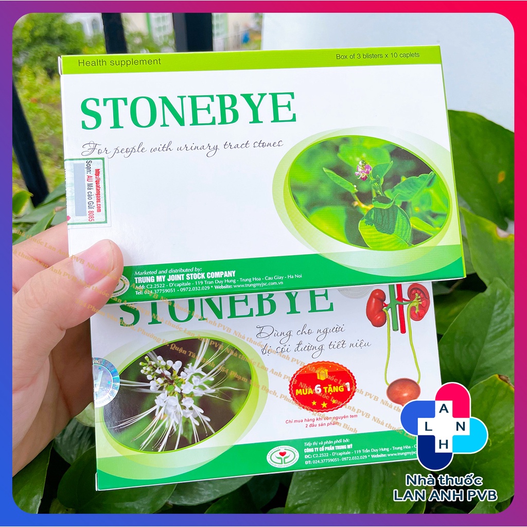 STONEBYE - Khắc tinh số 1 với sỏi thận, sỏi tiết niệu.