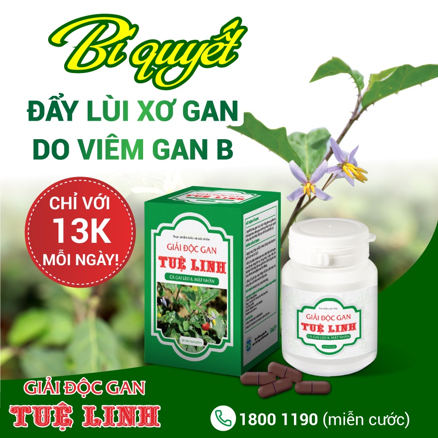 ✅Giải Độc Gan Tuệ Linh [Chính hãng] Giải độc gan, hạ men gan, hỗ trợ viêm gan virus, xơ gan - Hộp 60 viên