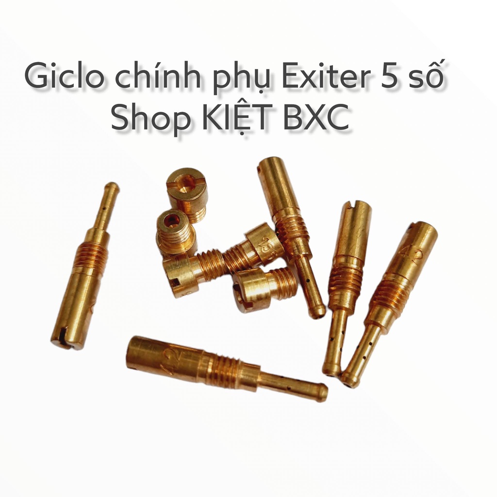 GICLO CHÍNH PHỤ BỘ CHẾ EXCITER 5 SỐ (BÁN LẺ)