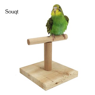 Cầu đứng bằng gỗ cho chim