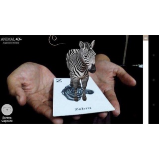 Bộ thẻ animal 4d