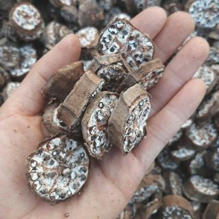 Chuối hột rừng 500g