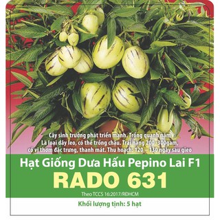 Hạt Giống Dưa Hấu Pepino Lai F1 Dễ Trồng, Sai Trái 5 Hạt