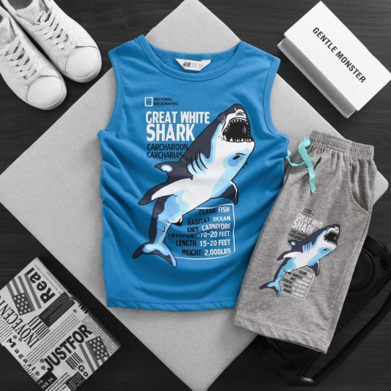 Bộ ba lỗ bé trai size 20-55kg