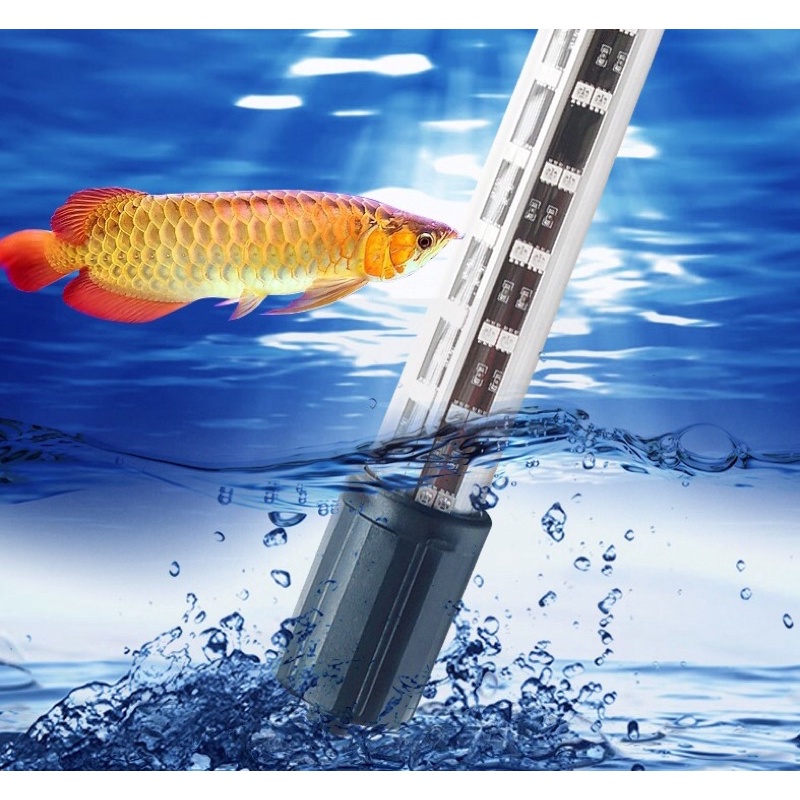 Bóng đèn Led 4 Hàng Bóng MàuVàng cho Hồ Cá Xuan Mei Long 60cm. Phụ Kiện Hồ Cá Bóng Đèn LED Hồ Cá XML