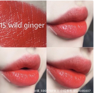 Son Tom Ford Wild Ginger