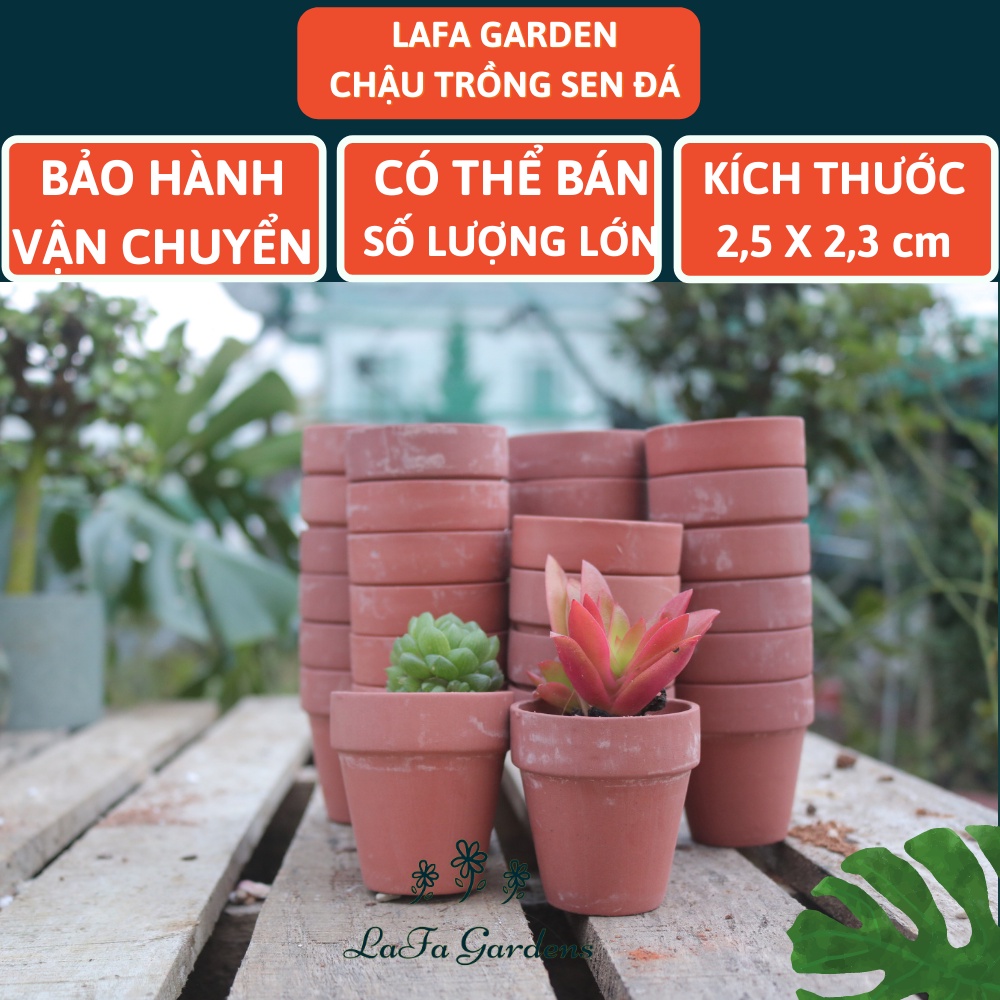 Chậu trồng sen đá đất nung 1 cái LAFA GARDEN, đặc biệt chuyên trồng cây sen đá