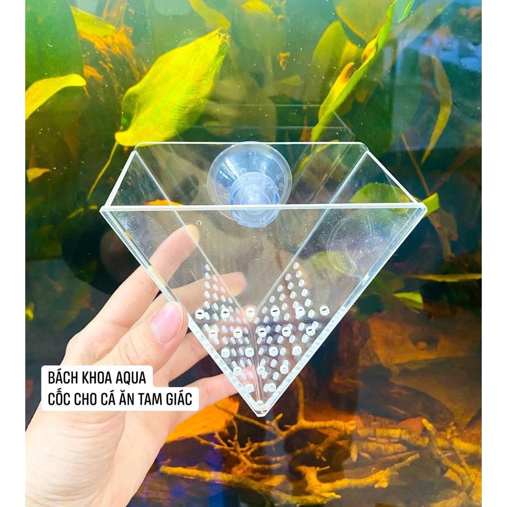 Chõ tam giác đựng giun đủ size cho cá