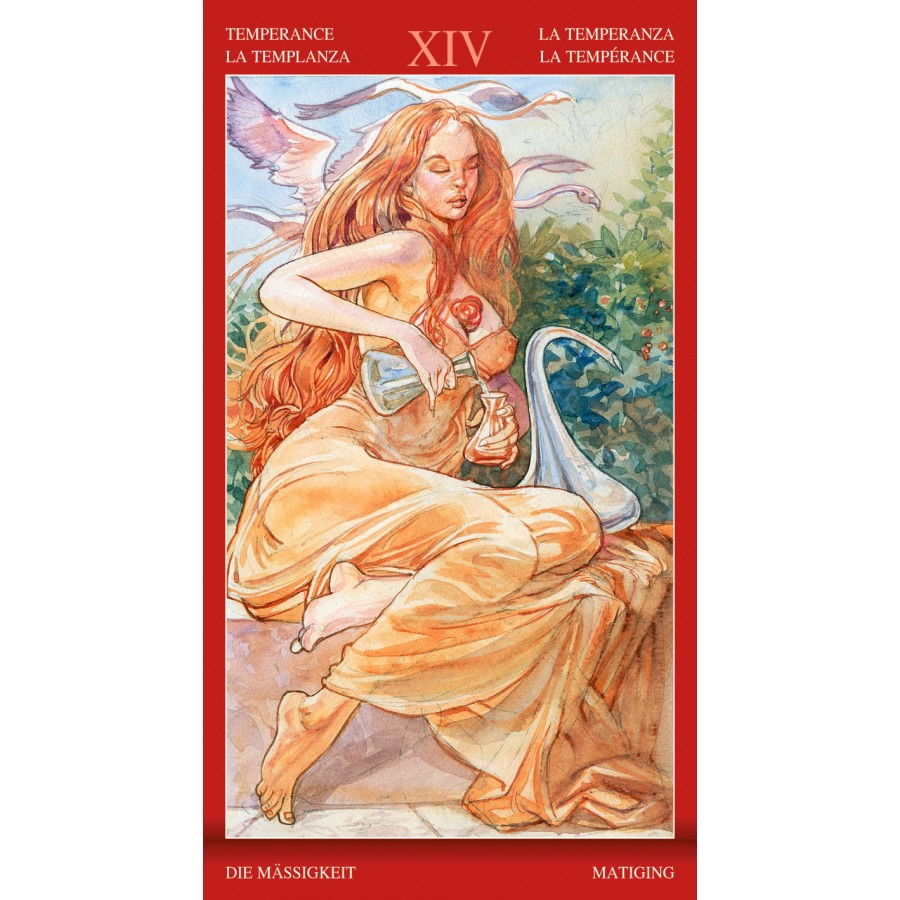 Bộ Bài Tarot of Sexual Magic (Mystic House Tarot Shop) - Bài Gốc Authentic Chính Hãng 100%