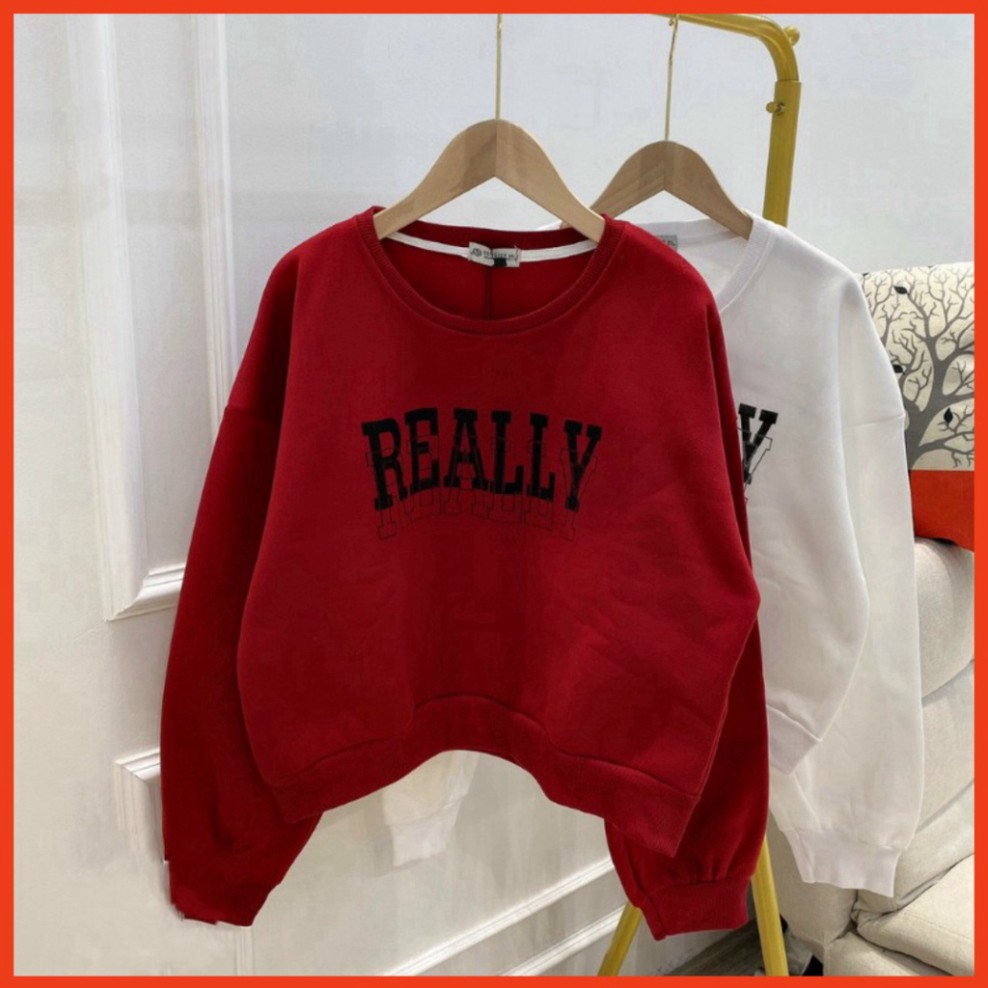 Áo Nỉ Thu Đông, Áo Nỉ Hoodie Hot Hit 2021_Thời Trang Nhung Paris! | BigBuy360 - bigbuy360.vn